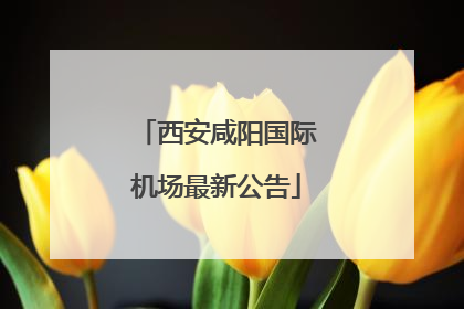 西安咸阳国际机场最新公告