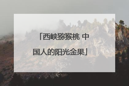 西峡猕猴桃 中国人的阳光金果