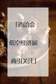西洽会：低空经济展商引关注