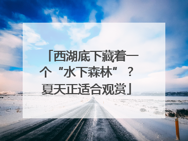 西湖底下藏着一个“水下森林”？夏天正适合观赏