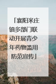襄阳米庄镇多部门联动开展青少年药物滥用防范宣传