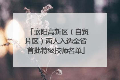 襄阳高新区（自贸片区）两人入选全省首批特级技师名单