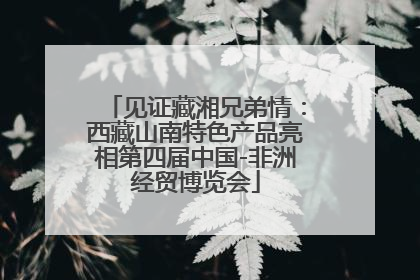 见证藏湘兄弟情：西藏山南特色产品亮相第四届中国-非洲经贸博览会