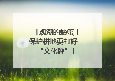 观潮的螃蟹丨保护耕地要打好“文化牌”