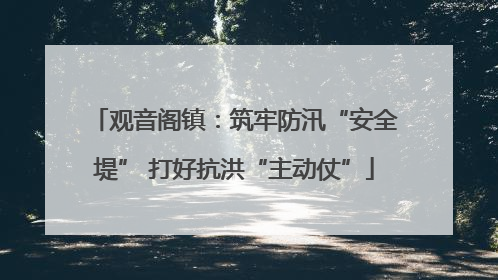 观音阁镇：筑牢防汛“安全堤” 打好抗洪“主动仗”