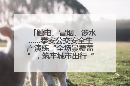 触电、冒烟、涉水……泰安公交安全生产演练“全场景覆盖”，筑牢城市出行“安全生命线”