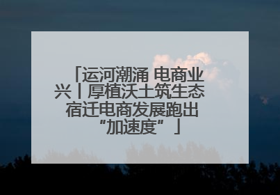 运河潮涌 电商业兴丨厚植沃土筑生态 宿迁电商发展跑出“加速度”