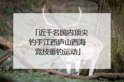 近千名国内顶尖钓手江西庐山西海竞技垂钓运动