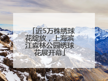 近5万株绣球花绽放，上海滨江森林公园绣球花展开幕