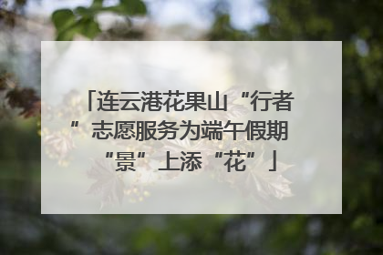 连云港花果山“行者”志愿服务为端午假期“景”上添“花”