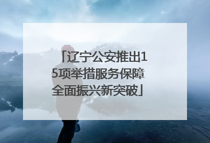 辽宁公安推出15项举措服务保障全面振兴新突破