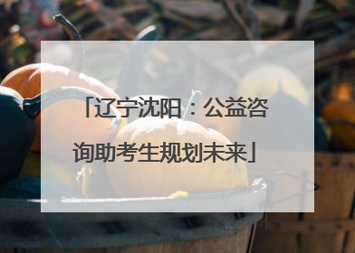 辽宁沈阳：公益咨询助考生规划未来