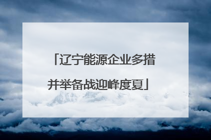 辽宁能源企业多措并举备战迎峰度夏
