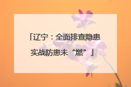 辽宁：全面排查隐患 实战防患未“燃”