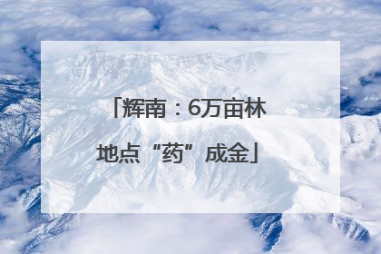 辉南：6万亩林地点“药”成金