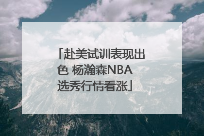 赴美试训表现出色 杨瀚森NBA选秀行情看涨