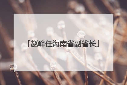 赵峰任海南省副省长