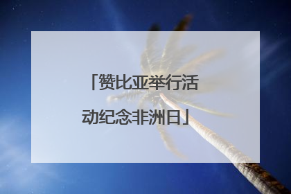 赞比亚举行活动纪念非洲日