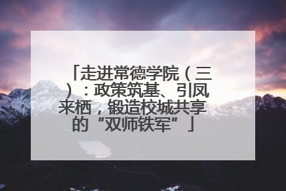 走进常德学院（三）：政策筑基、引凤来栖，锻造校城共享的“双师铁军”