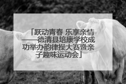 跃动青春 乐享亲情——德清县培康学校成功举办韵律操大赛暨亲子趣味运动会