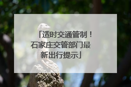 适时交通管制！石家庄交管部门最新出行提示