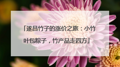 遂昌竹子的涨价之旅：小竹叶包粽子，竹产品走四方