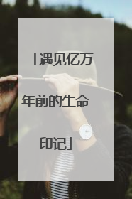 遇见亿万年前的生命印记