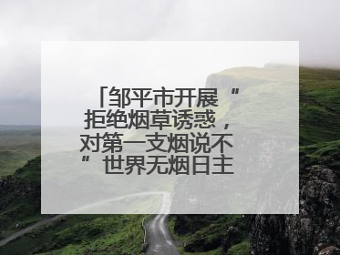 邹平市开展“拒绝烟草诱惑，对第一支烟说不”世界无烟日主题宣传活动