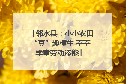 邻水县：小小农田“豆”趣横生 莘莘学童劳动添能