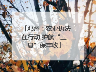 邓州：农业执法在行动 护航“三夏”保丰收