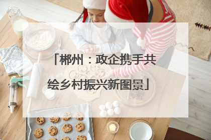 郴州：政企携手共绘乡村振兴新图景