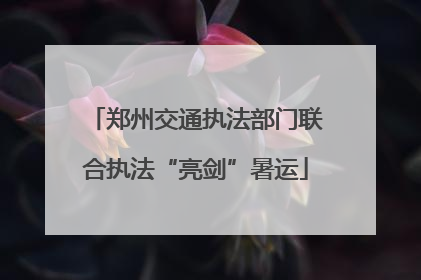 郑州交通执法部门联合执法“亮剑”暑运