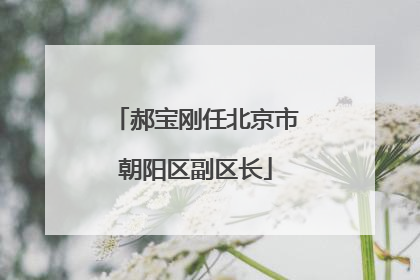 郝宝刚任北京市朝阳区副区长