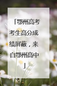 鄂州高考考生高分成绩屏蔽，来自鄂州高中