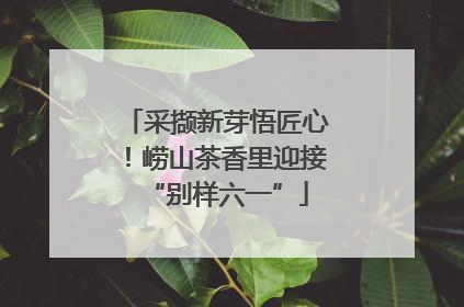 采撷新芽悟匠心！崂山茶香里迎接“别样六一”