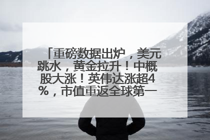 重磅数据出炉，美元跳水，黄金拉升！中概股大涨！英伟达涨超4%，市值重返全球第一！黄仁勋计划出售至多600万股股票