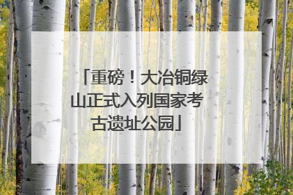 重磅！大冶铜绿山正式入列国家考古遗址公园