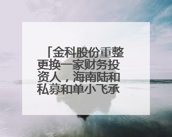 金科股份重整更换一家财务投资人，海南陆和私募和单小飞承接其投资额度