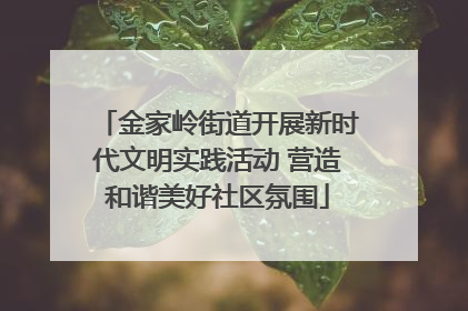金家岭街道开展新时代文明实践活动 营造和谐美好社区氛围
