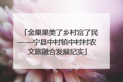 金果果美了乡村富了民——宁县中村镇中村村农文旅融合发展纪实