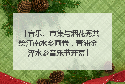 音乐、市集与烟花秀共绘江南水乡画卷，青浦金泽水乡音乐节开幕