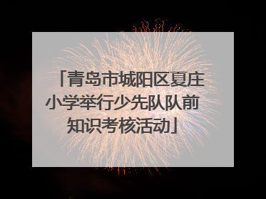 青岛市城阳区夏庄小学举行少先队队前知识考核活动