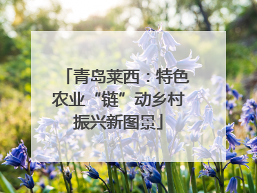 青岛莱西：特色农业“链”动乡村振兴新图景