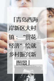 青岛西海岸新区大村镇：“赏花经济”绘就乡村振兴新图景