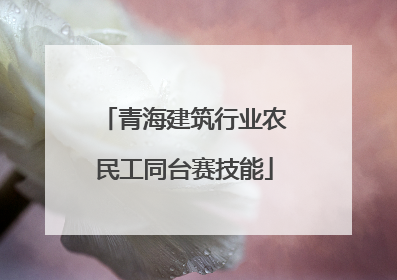 青海建筑行业农民工同台赛技能