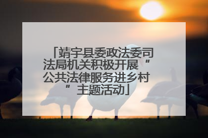 靖宇县委政法委司法局机关积极开展“公共法律服务进乡村”主题活动