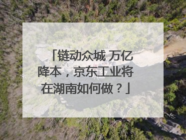 链动众城 万亿降本，京东工业将在湖南如何做？