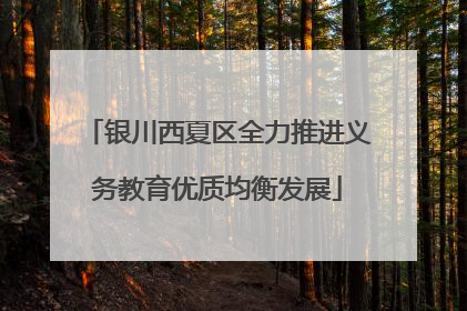 银川西夏区全力推进义务教育优质均衡发展
