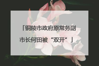 铜陵市政府原常务副市长何田被“双开”