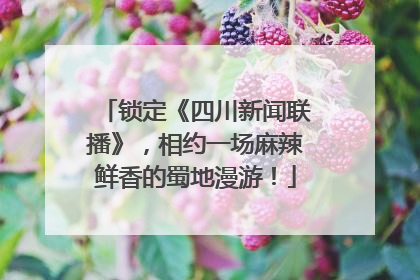 锁定《四川新闻联播》，相约一场麻辣鲜香的蜀地漫游！